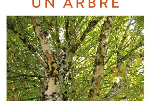 Penser comme un arbre - Livre