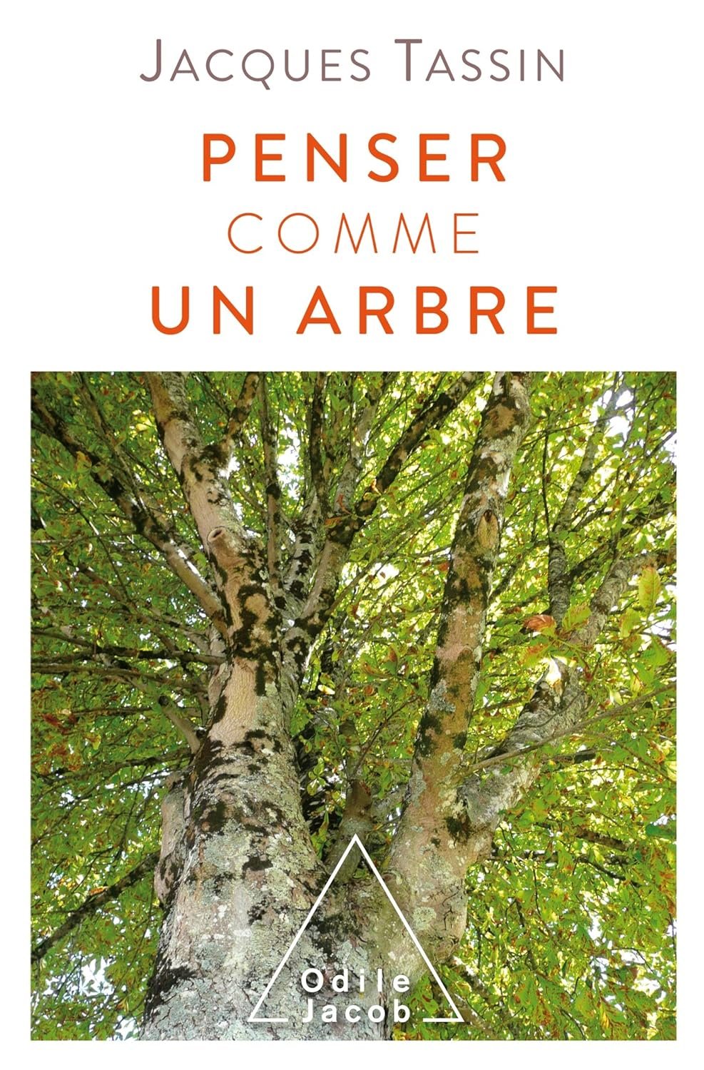 Penser comme un arbre - Livre